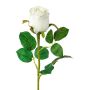 Flor decorativa rosa KLONI, blanca, 50cm, Ø5,5cm