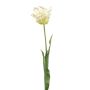 Tulipán «loro» artificial LUNIA, blanco y verde, 70 cm