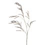 Rama artificial de amaranto CERRO con flores, marrón, 100cm