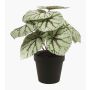 Planta artificial de begonia de hoja MEIRA, verde-gris, 25cm