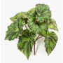 Planta artificial de begonia de hoja MEIRA con soporte, verde y negro, 25cm