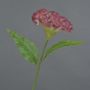 Flor artificial «cresta de gallo» ANUBIS, rosa, 60 cm, Ø 14 cm