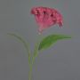 Flor artificial «cresta de gallo» ANUBIS, violeta, 60 cm, Ø 14 cm