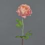 Ranúnculo artificial ELORIO, rosa-crema, 50 cm, Ø 10 cm