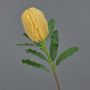 Flor artificial Banksia robur YUSTE, melocotón, 65 cm, Ø 8 cm