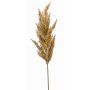 Rama decorativa de hierba de la pampa con espiga BATERNO, marrón claro, 90 cm