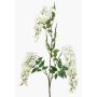 Rama de glicinia artificial ONORATO con flores, color crema, 70 cm