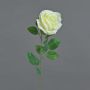 Rosa artificial PEZOS, color crema, 60 cm, Ø 10 cm
