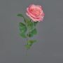 Rosa artificial PEZOS, rosa-fucsia, 60 cm, Ø 10 cm