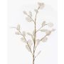 Rama decorativa de lunaria BUELNA, color crema, 105cm
