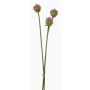 Ramo decorativo de Allium LAMDA, violeta y verde, 65 cm, Ø 4 cm