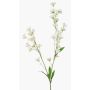 Rama decorativa de ranúnculo LOTA, color crema, 90 cm, Ø 3-4 cm