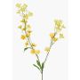 Rama decorativa de ranúnculo LOTA, amarillo claro, 90 cm, Ø 3-4 cm