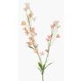 Rama decorativa de ranúnculo LOTA, rosa, 90 cm, Ø 3-4 cm