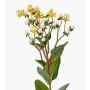 Rama artificial de hipérico CANNO con flores y frutos, amarillo y blanco, 65 cm, Ø 3 cm