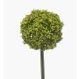 Flor artificial Allium TUXLON, verde, 75 cm