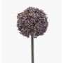 Flor artificial Allium TUXLON, lila, 75 cm