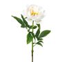 Flor de plástico de peonía PEFIN, blanca, 50 cm