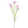 Rama artificial de campanilla FLAVRON, rosa, 60 cm