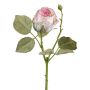 Flor decorativa rosa ZORKLIN, rosa-crema, 45cm, Ø6,5cm