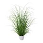 Hierba decorativa pennisetum KIVRA en maceta decorativa, verde, 60cm