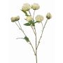 Rama decorativa de rosa de col TRUVOL, blanco-verde, 65 cm, Ø 2-6 cm