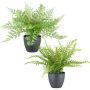 Mezcla de helechos artificiales REFIL, helecho espada, helecho de pelo de mujer, 2 unidades, maceta decorativa, verde, 30 cm, Ø 35 cm
