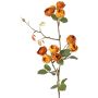Rama artificial de col y rosas LORRAINE, Colección Eco, amarillo-naranja, 60 cm, Ø 3 cm