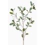 Rama decorativa de eucalipto MERKAN, verde-gris, 90 cm