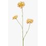Rama artificial de escabiosa DIHALLY, amarillo-melocotón, 80 cm, Ø 8-9 cm