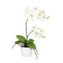 Orquídea Phalaenopsis de tela MORLEK, maceta de cerámica, raíces, color crema, 60 cm