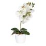 Orquídea Phalaenopsis de tela DRINTOR, maceta de cerámica, raíces, blanco-verde, 40cm