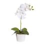 Orquídea Phalaenopsis textil TRALKE, maceta decorativa, raíces, blanca, 40cm