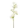 Rama decorativa de cardo esférico ZORLIM, blanco, 55 cm