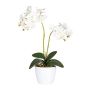 Orquídea Phalaenopsis de tela FRUXO, maceta de cerámica, raíces, blanca, 50cm