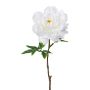 Flor de plástico, peonía GLOUT, blanca, 65cm