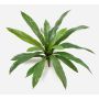 Asplenium artificial JANE, verde, 40 cm