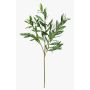 Rama de olivo artificial BRANDAR, verde, 70 cm