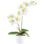 Orquídea Phalaenopsis de tela KRUZBER, maceta de cerámica, raíces, blanco-verde, 55cm