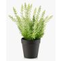 Erica sintética ELSAWO en maceta decorativa, crossdoor, blanco-verde, 30cm