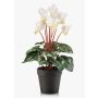 Ciclamen artificial VERIANA en maceta decorativa, blanco-verde, 30cm