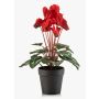 Ciclamen sintético VERIANA en maceta decorativa, rojo, 30cm