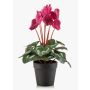 Ciclamen sintético VERIANA en maceta decorativa, fucsia, 30cm