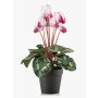 Ciclamen sintético VERIANA en maceta decorativa, blanco-fucsia, 30cm