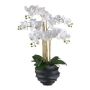 Orquídea Phalaenopsis de tela STONFER, maceta decorativa negra, raíces blancas, 70 cm