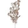 Rama decorativa de eucalipto DRAVEL, champán, 75cm