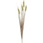 Trigo artificial LICYN en varilla, espigas, verde, 80cm