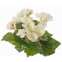 Begonia artificial BIRMA con varilla, color crema, 20cm, Ø3-5cm