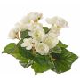 Begonia artificial BIRMA con varilla, color crema, 20 cm, Ø 3-5 cm