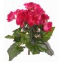 Begonia artificial BIRMA con varilla, fucsia, 20cm, Ø3-5cm
